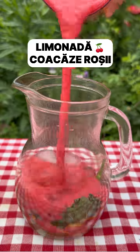 Reteta-Limonada-Coacaze-Rosii